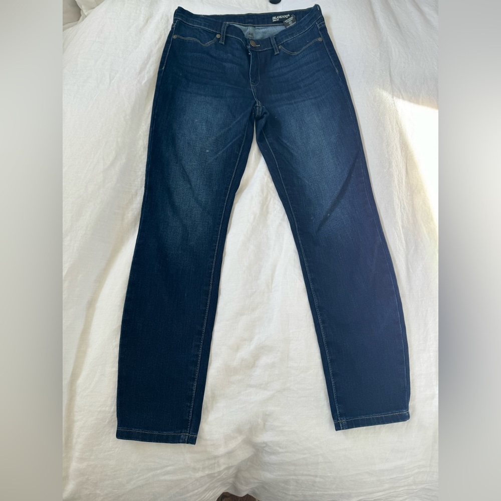 Blank NYC spray on jeans